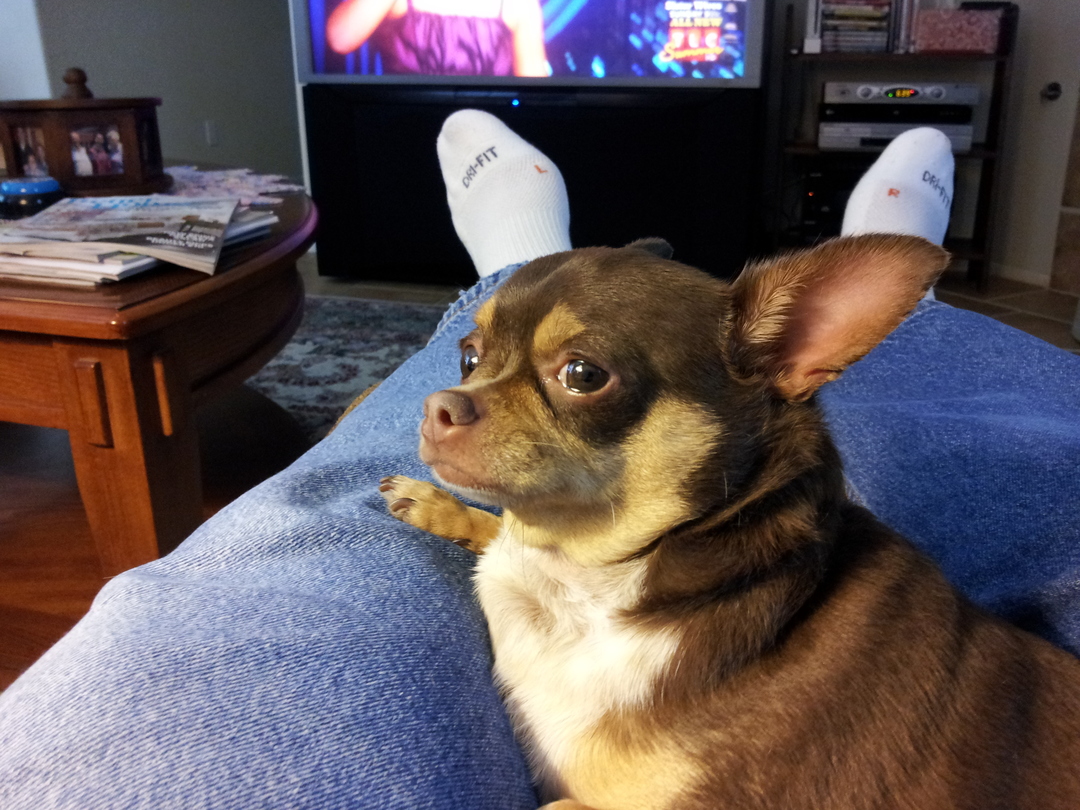 20130727_113358.jpg