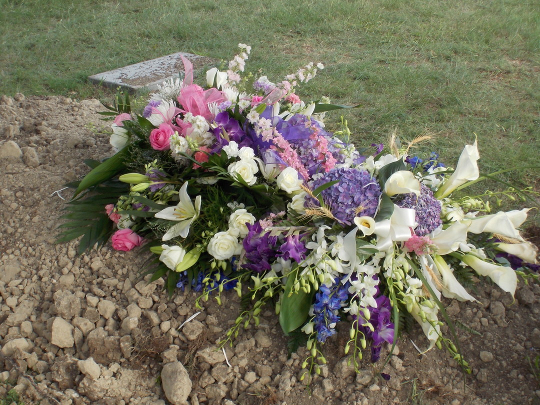 DSCN2156.JPG