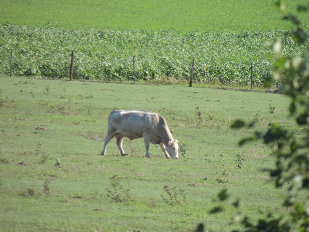 DSCN2876.JPG
