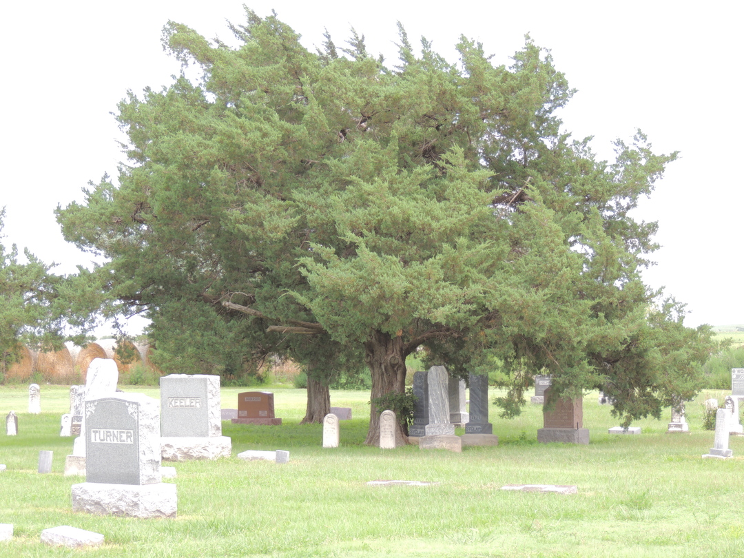 DSCN2925.JPG