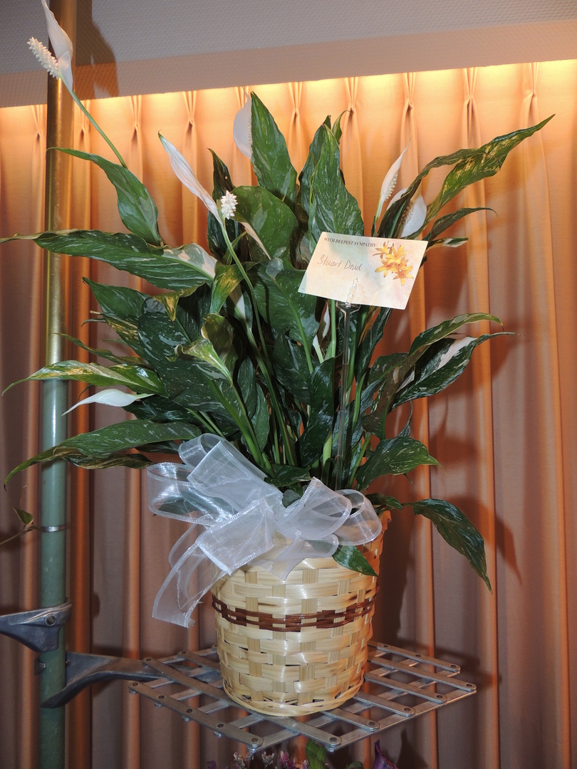 DSCN2931.JPG