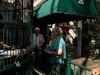 DSCN2140.JPG