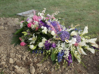 DSCN2156.JPG