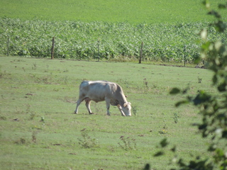 DSCN2876.JPG