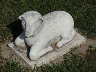 DSCN2892.JPG