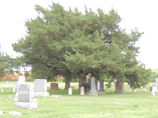 DSCN2925.JPG