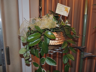 DSCN2928.JPG