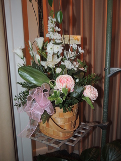 DSCN2929.JPG