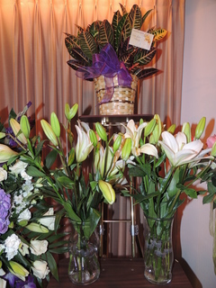 DSCN2938.JPG