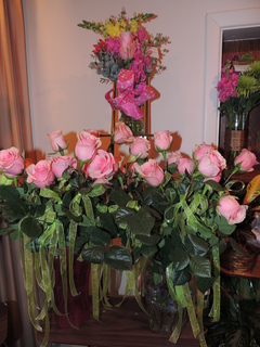 DSCN2939.JPG