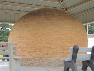 DSCN2991.JPG
