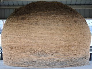DSCN2994.JPG