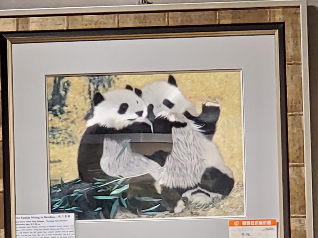 20190917_111219.jpg