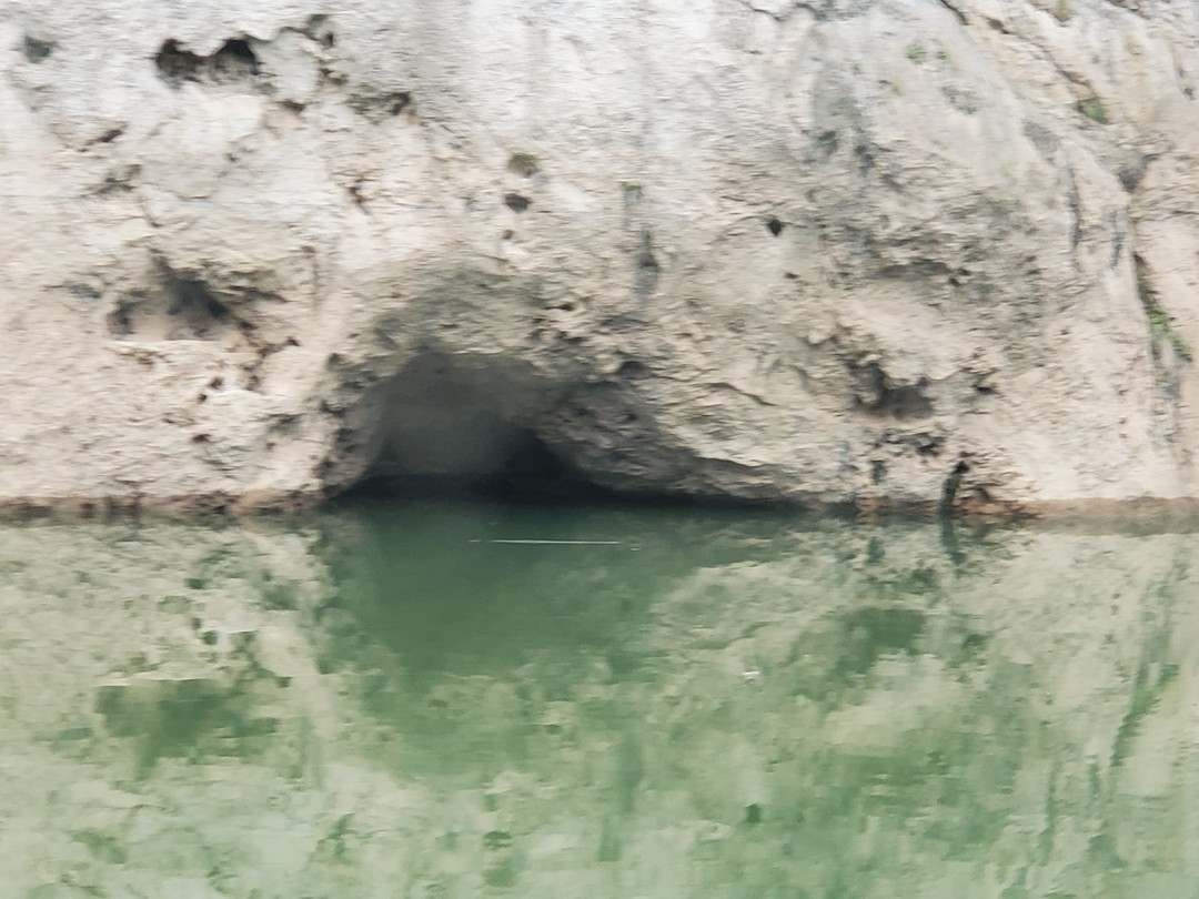 20190919_082930.jpg