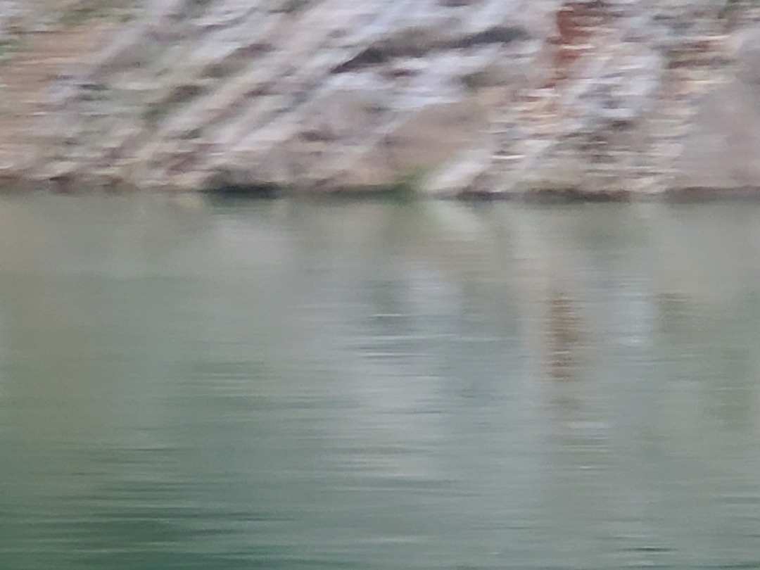 20190919_083800.jpg