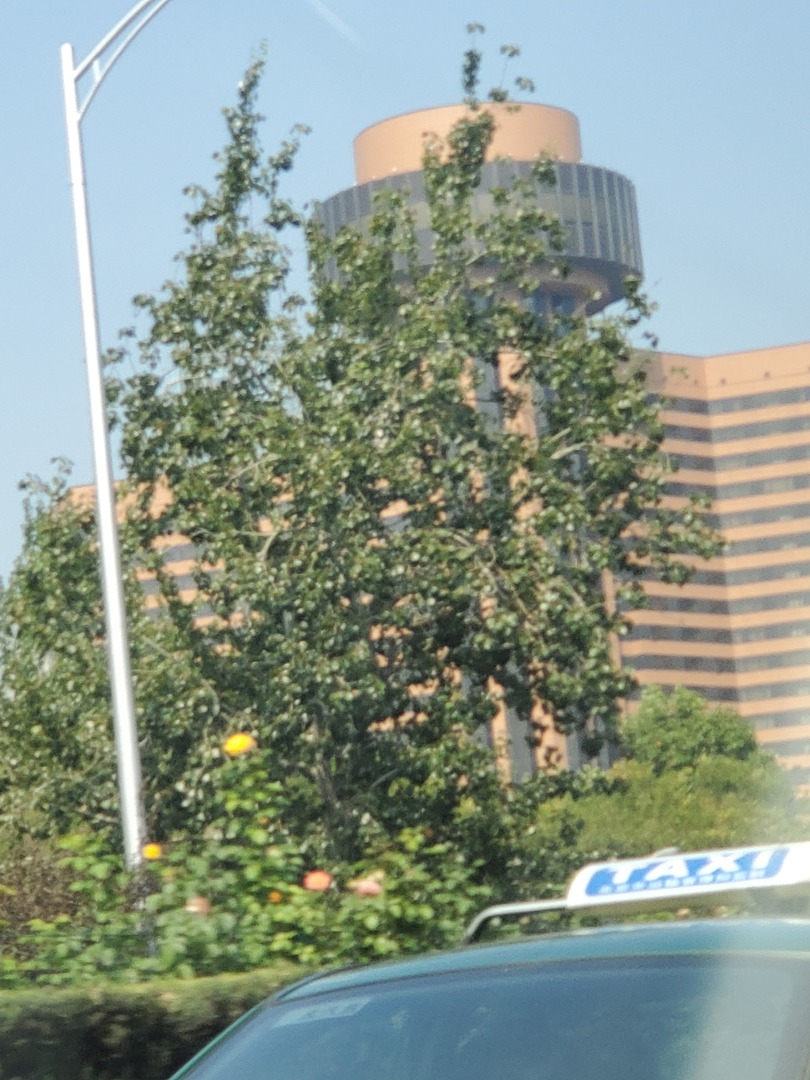 20190926_112723.jpg