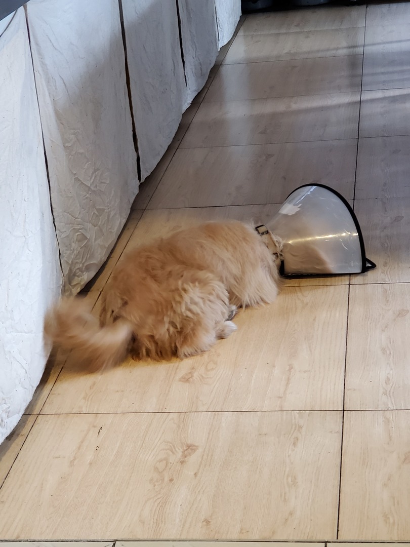 20190927_102301.jpg