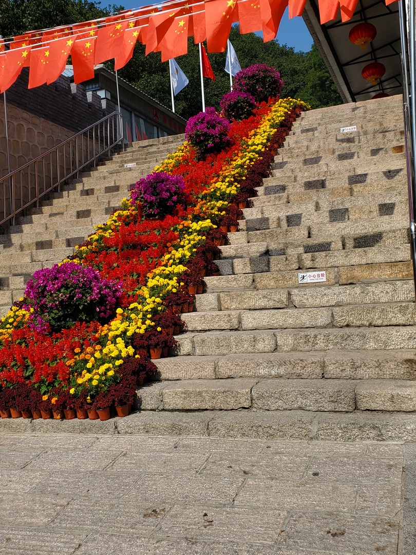 20190928_124522.jpg