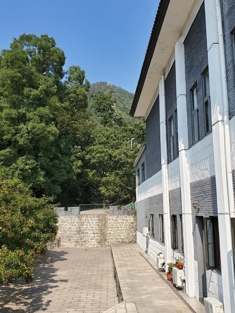 20190928_124825.jpg