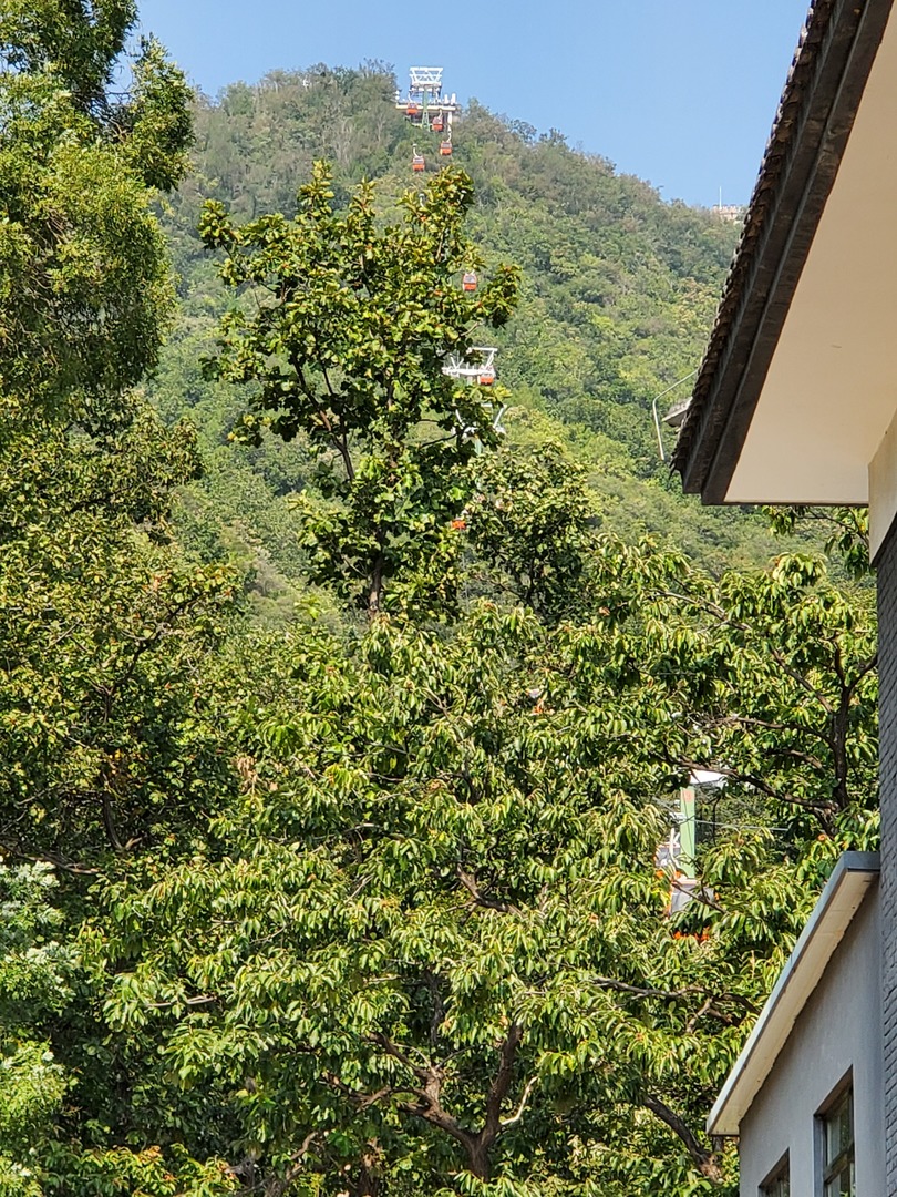 20190928_124828.jpg
