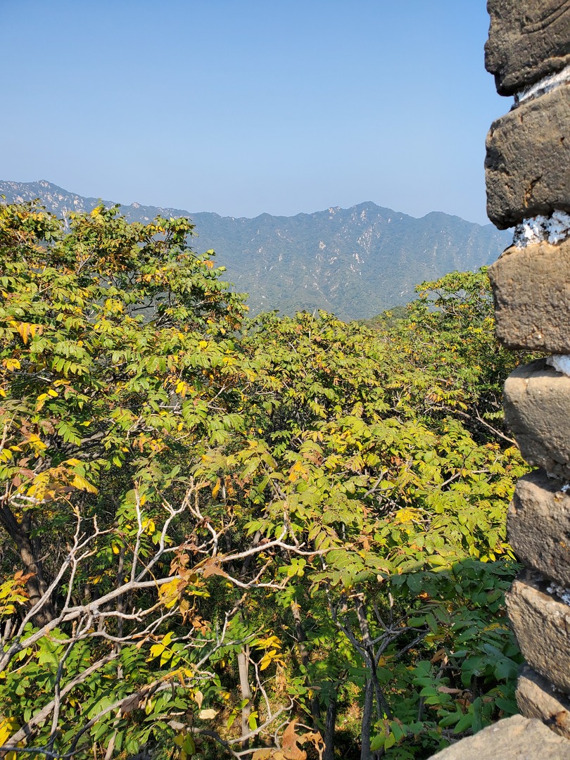 20190928_130152.jpg