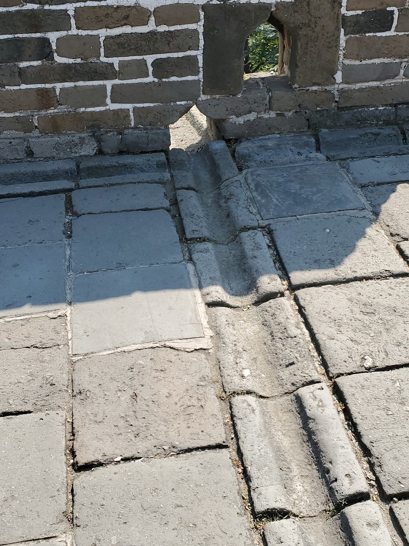 20190928_130537.jpg