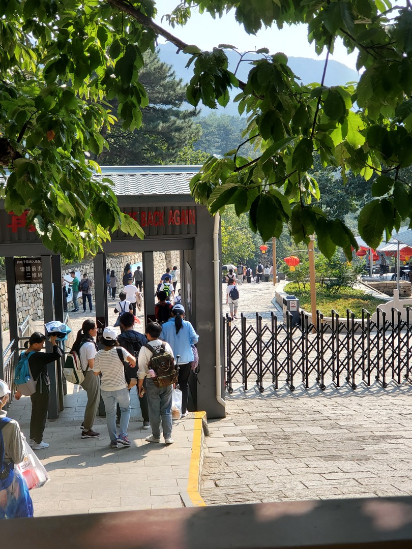 20190928_132857.jpg