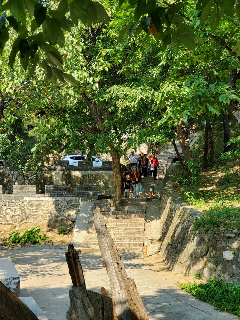 20190928_132903.jpg