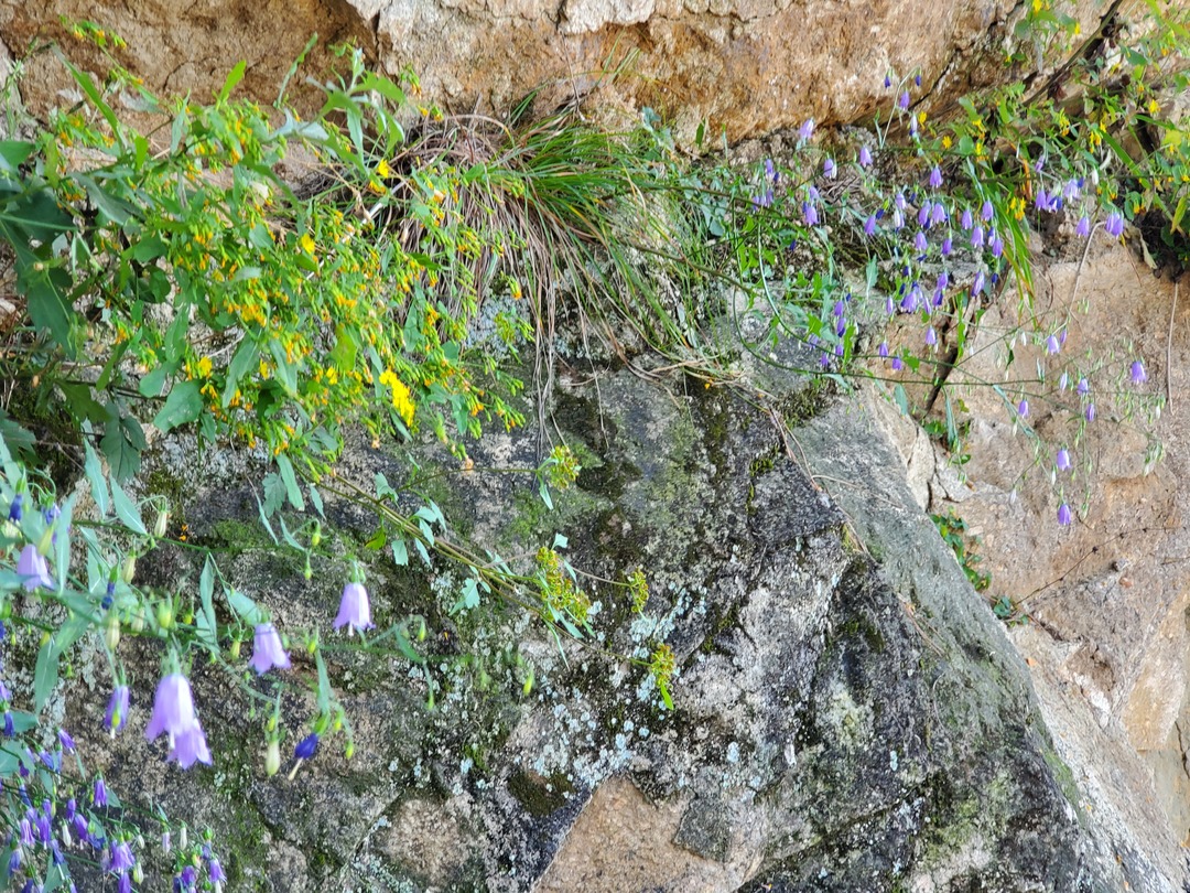 20190928_134214.jpg