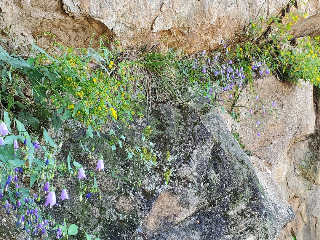 20190928_134227.jpg