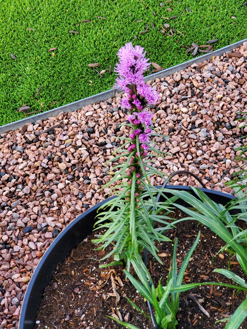 20191002_100328.jpg
