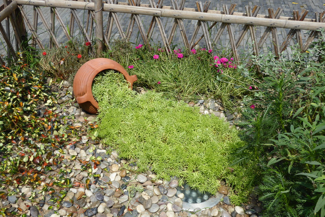 P1070854.JPG