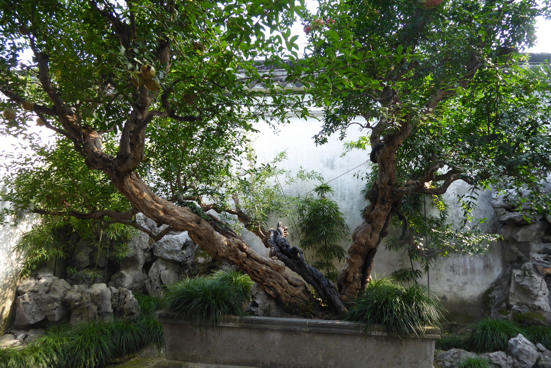 P1070936.JPG
