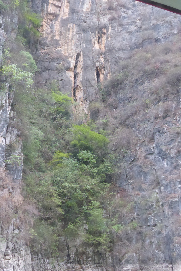 P1080009.JPG