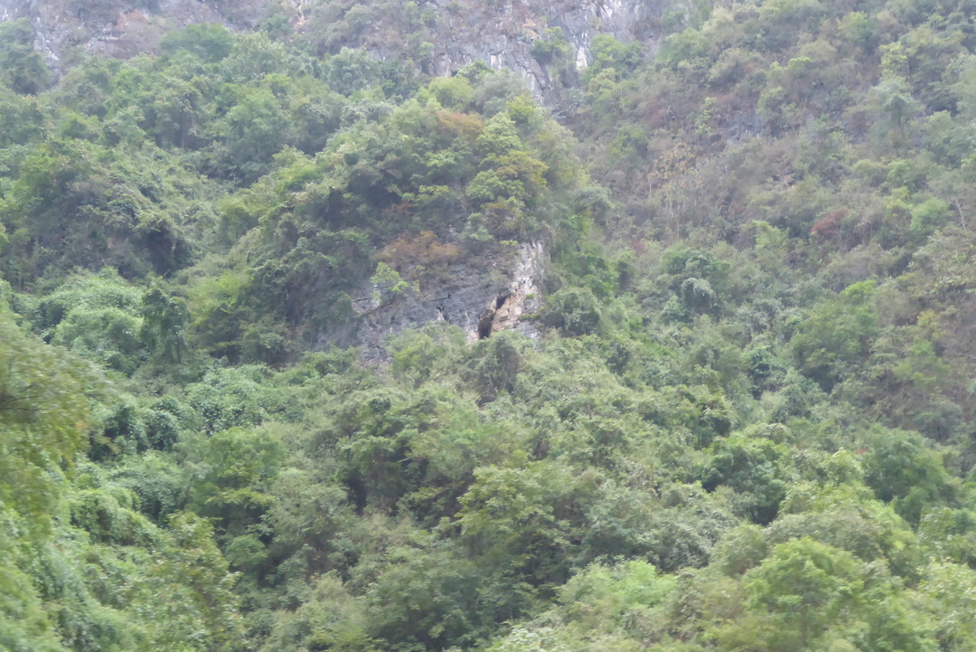 P1080031.JPG