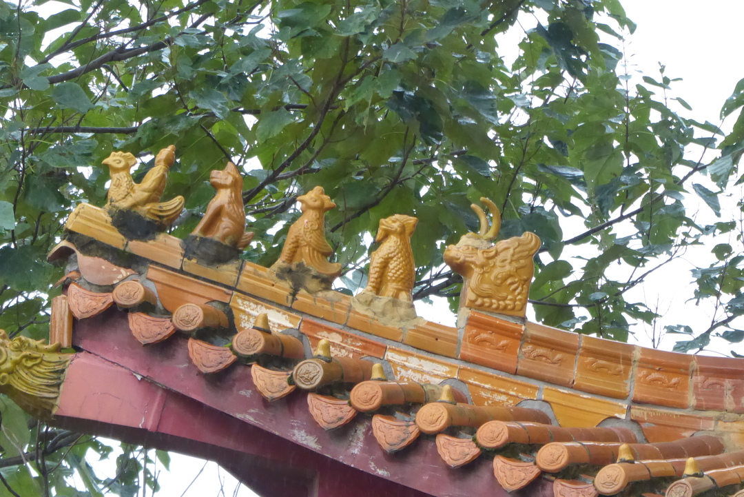 P1080168.JPG