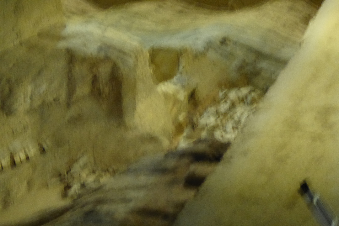 P1080289.JPG