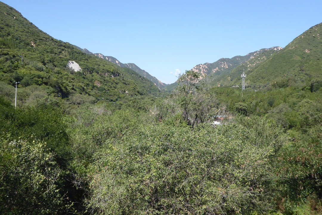 P1080417.JPG