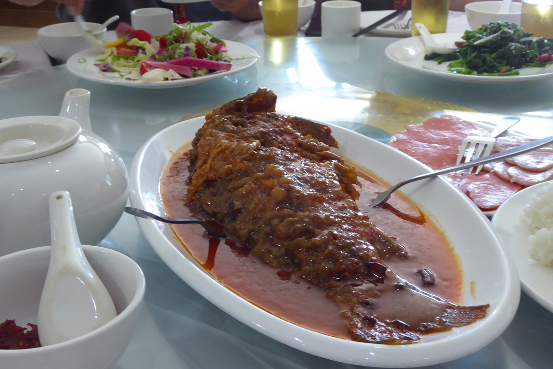 P1080432.JPG