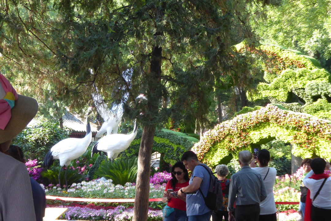 P1080567.JPG
