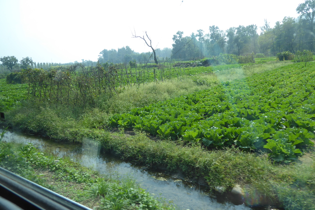 P1080656.JPG