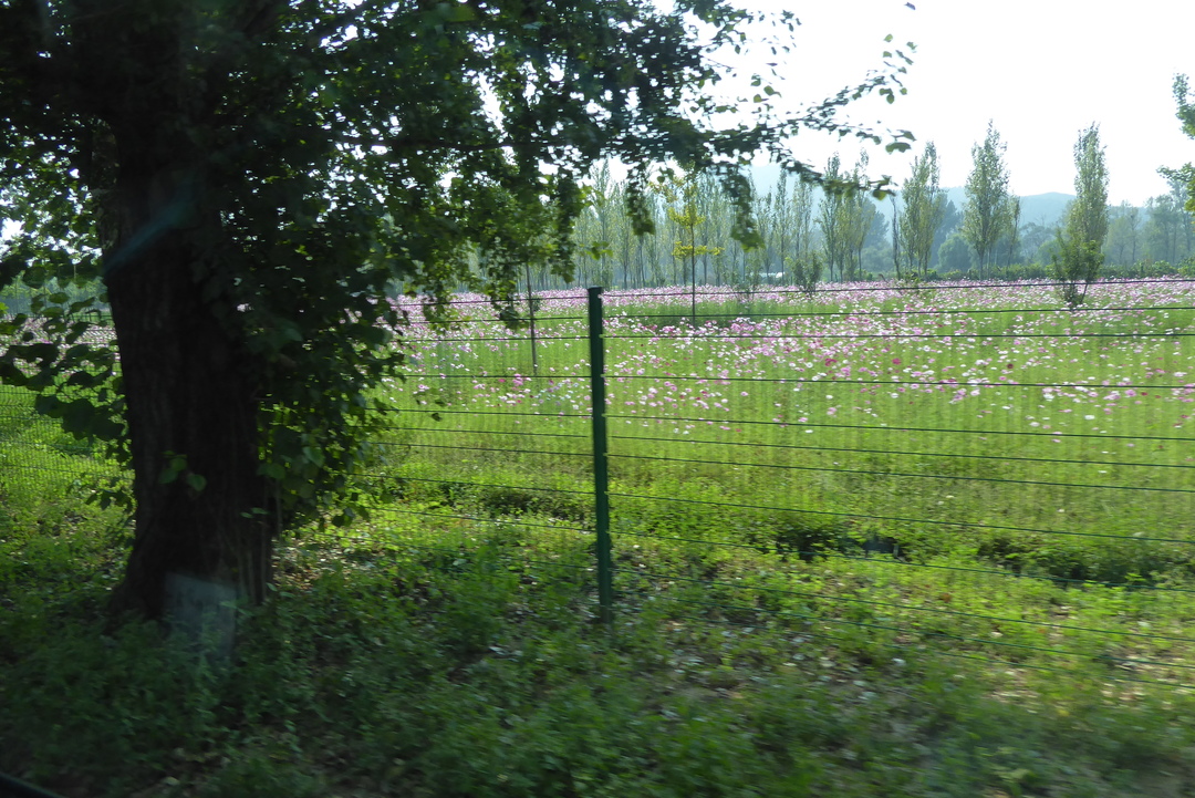P1080659.JPG