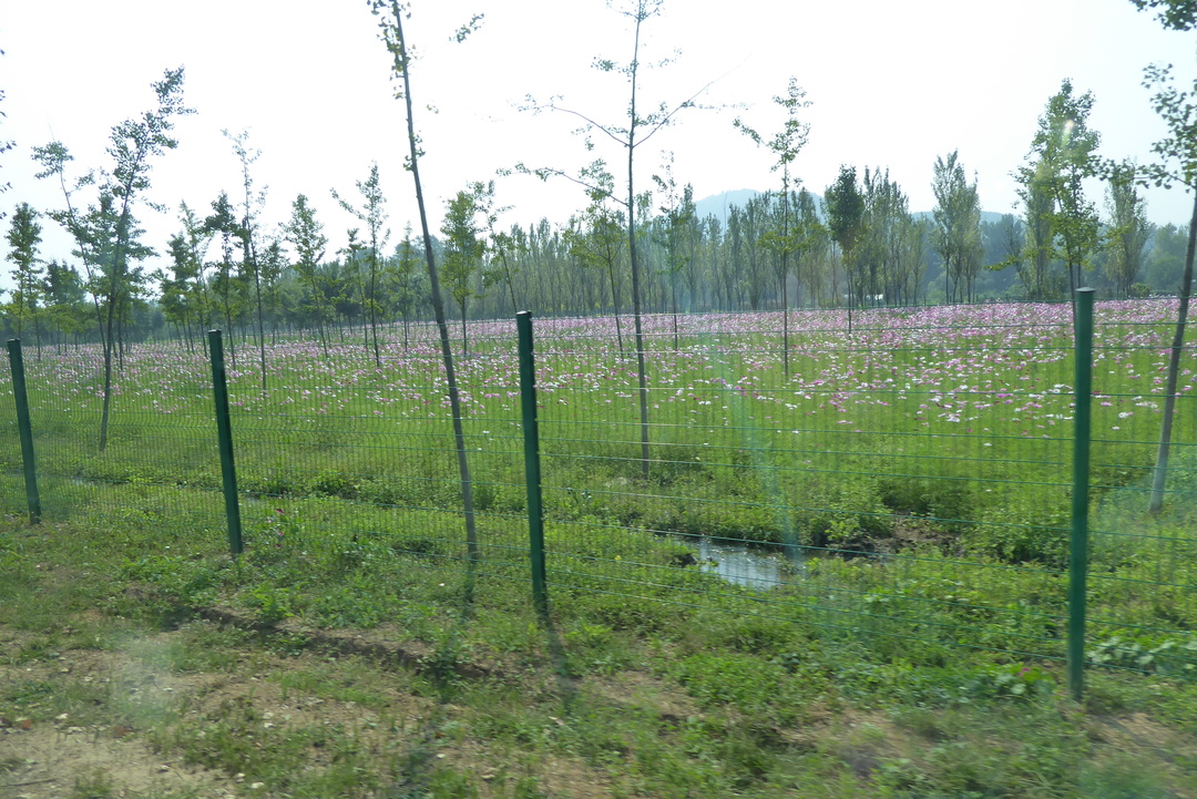 P1080660.JPG