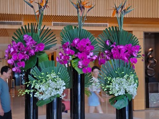 20190913_134209.jpg