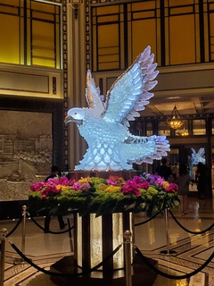 20190913_180928.jpg