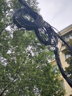20190914_154132.jpg