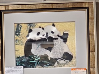 20190917_111219.jpg