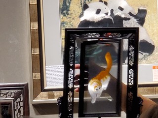 20190917_111222.jpg
