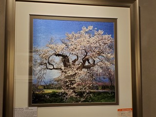 20190917_111945.jpg