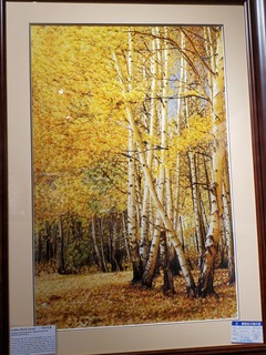 20190917_112143.jpg